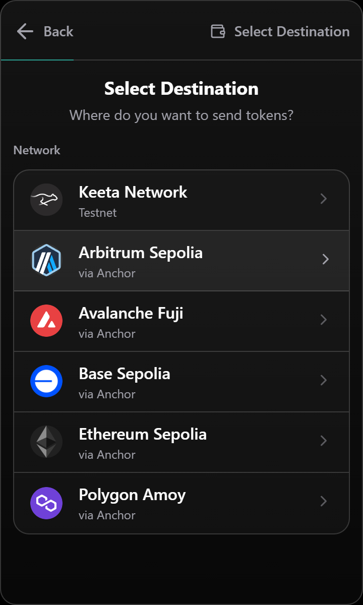 Choosing a destination network before sending tokens